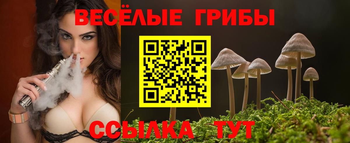 Галлюциногенные грибы мицелий Великий Устюг